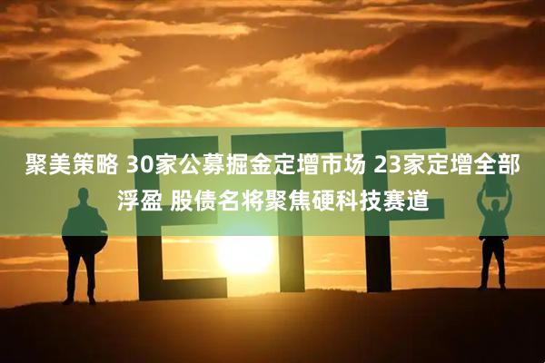 聚美策略 30家公募掘金定增市场 23家定增全部浮盈 股债名将聚焦硬科技赛道